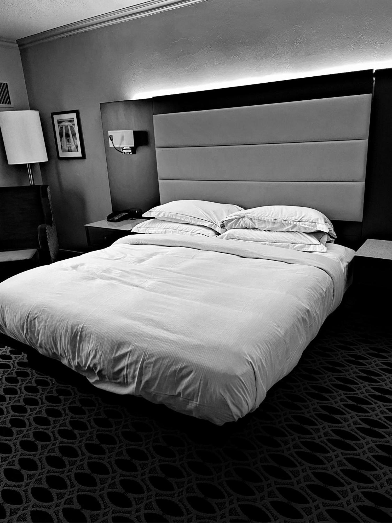 Hotel Ambience Plaza Jmd - Delhi Airport New Delhi Buitenkant foto